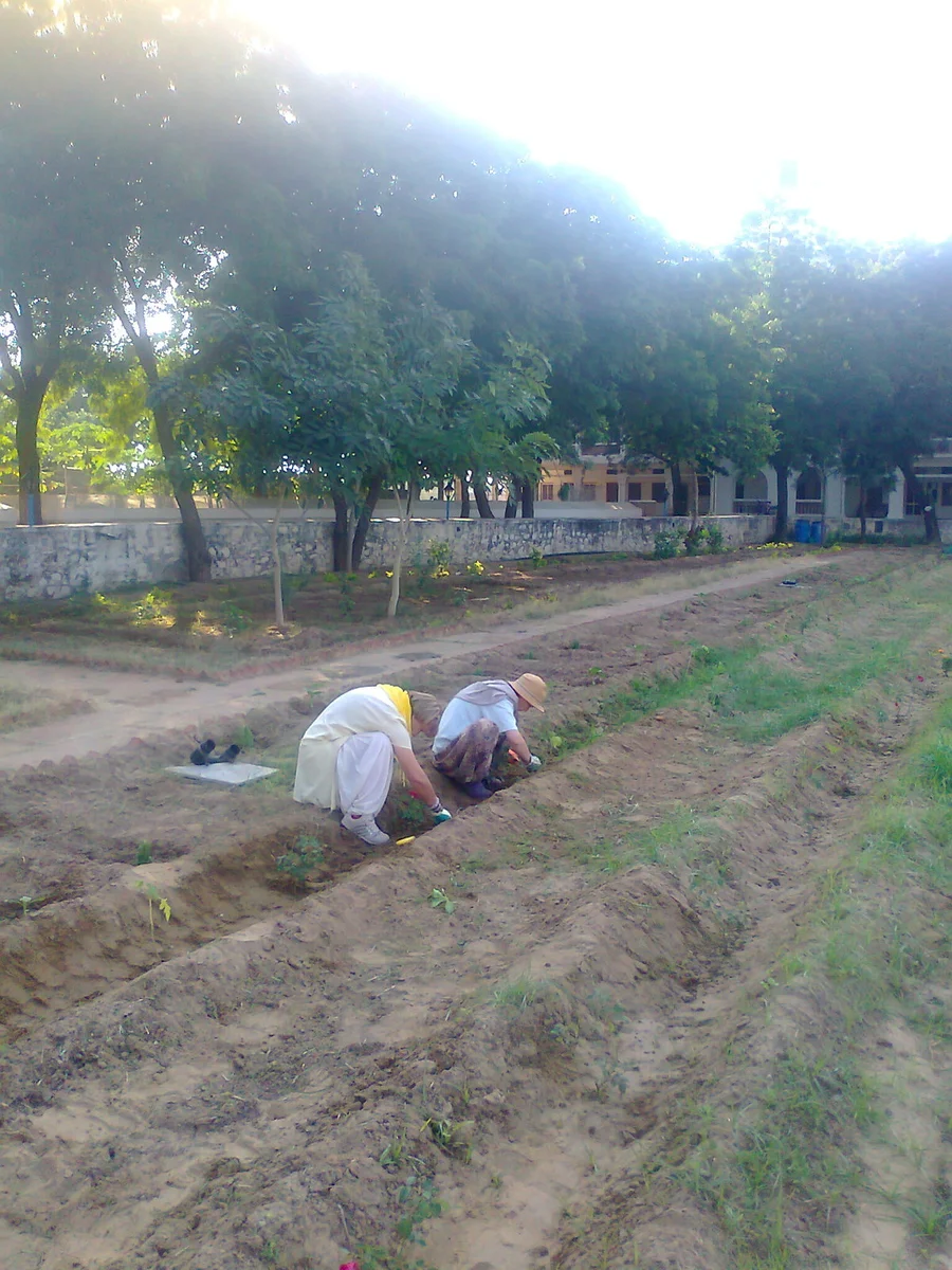 weeding is meditation 1200